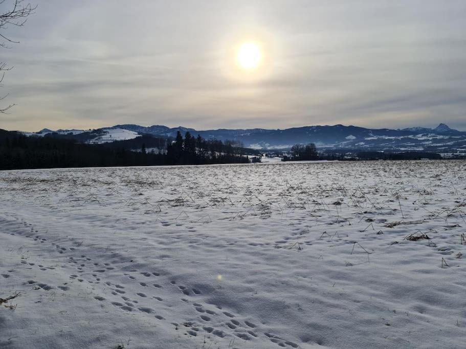 Historischer Gutshof, Bogensportzentrum Kremstal Lägenhet Nussbach Exteriör bild