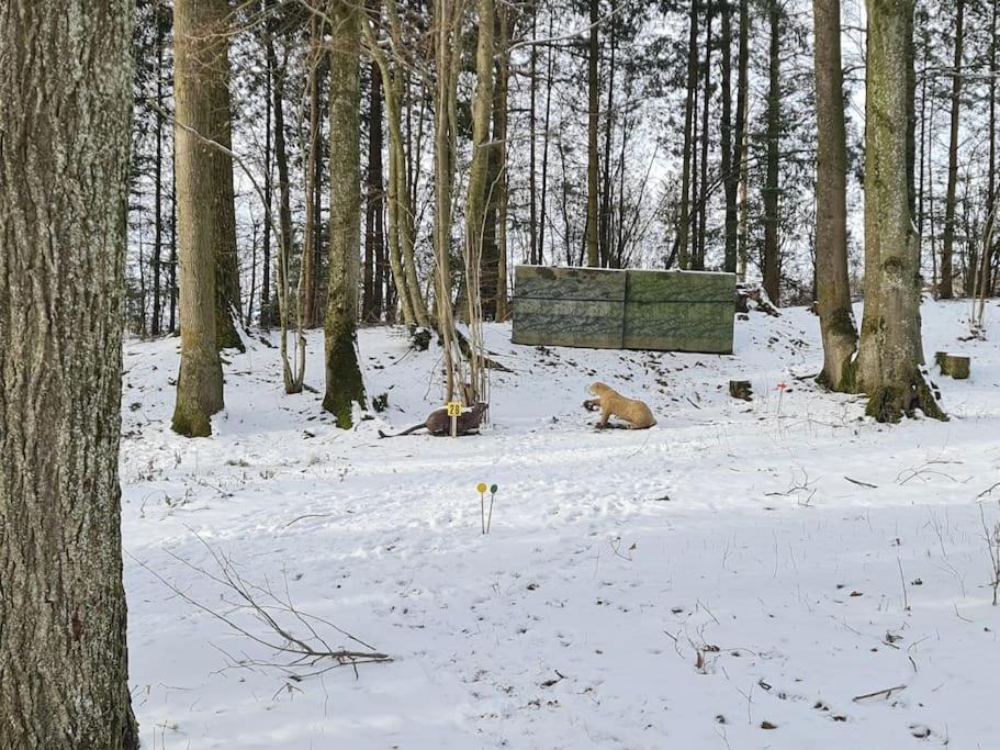 Historischer Gutshof, Bogensportzentrum Kremstal Lägenhet Nussbach Exteriör bild