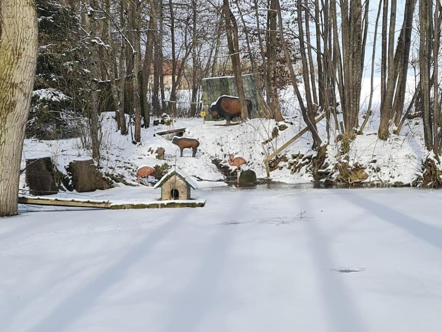 Historischer Gutshof, Bogensportzentrum Kremstal Lägenhet Nussbach Exteriör bild