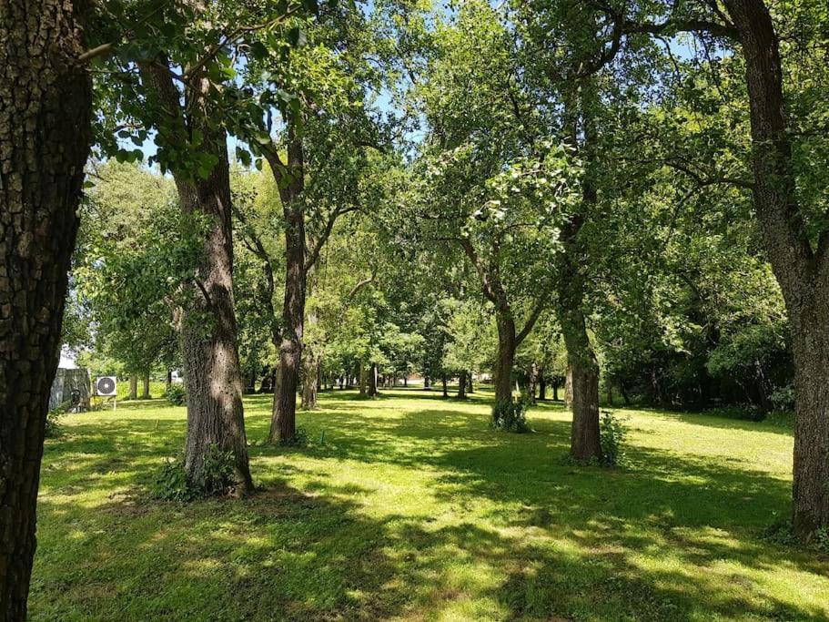 Historischer Gutshof, Bogensportzentrum Kremstal Lägenhet Nussbach Exteriör bild